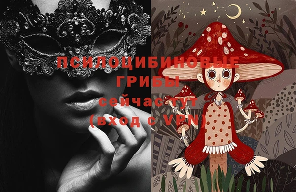 эйфоретик Переславль-Залесский